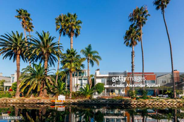 houses along the canal in venice, los angeles, usa - venice california canals stock pictures, royalty-free photos & images