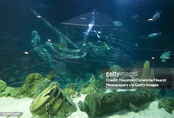 Moody Gardens diver swims past The Pride, a 19th century rum-runner shipwreck replica in the newly renovated Aquarium Pyramid following a $37 million...