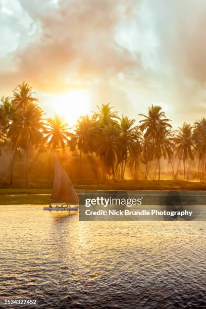 felucca, luxor, egypt. - nile river stock pictures, royalty-free photos & images