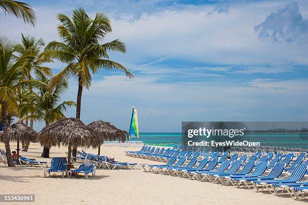 Rows of sunbeds and coconut palmtrees at the beach on June 15, 2012 in Nassau, The Bahamas.