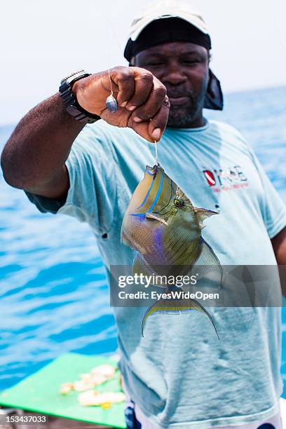 Captain Rob has got a trigger fish on a hook at his fishing yacht on June 15, 2012 in Long Island, The Bahamas.