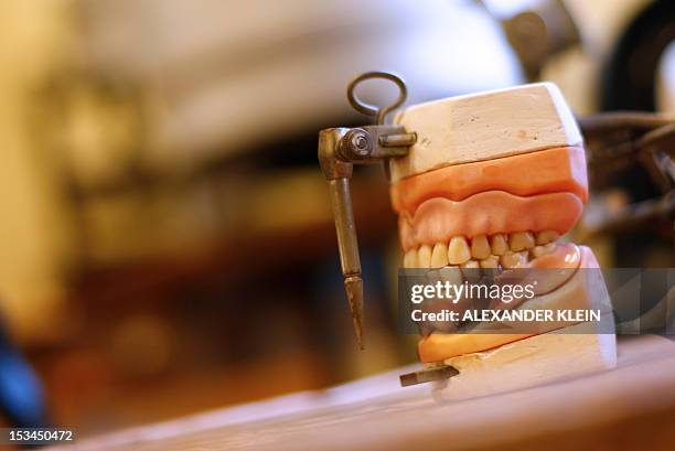 Teeths and dental prosthesis are seen at the Dentistry museum of Vienna on October 4, 2012. Fascinated by contraception, chimneysweeps, or magic...