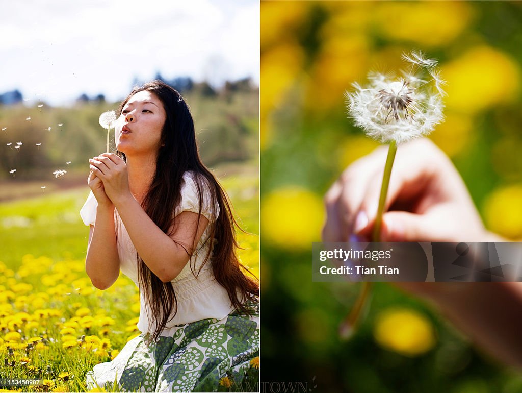 Woman blow dandelion on dandelion field