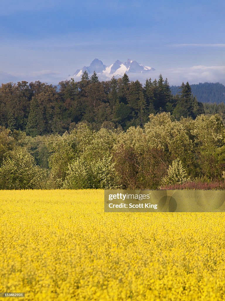 Three fingers mountain