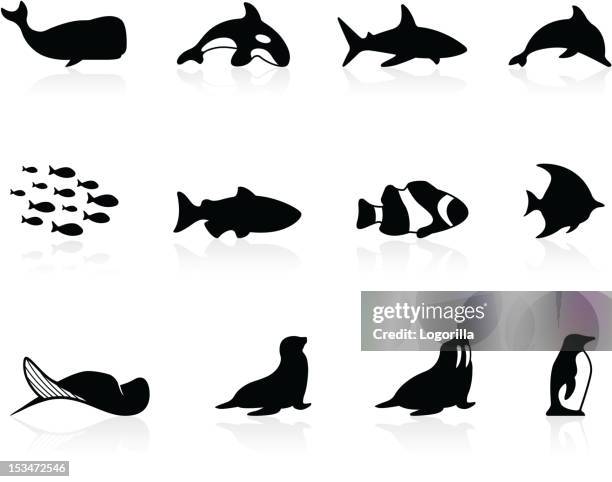 stockillustraties, clipart, cartoons en iconen met sea life - penguin vector