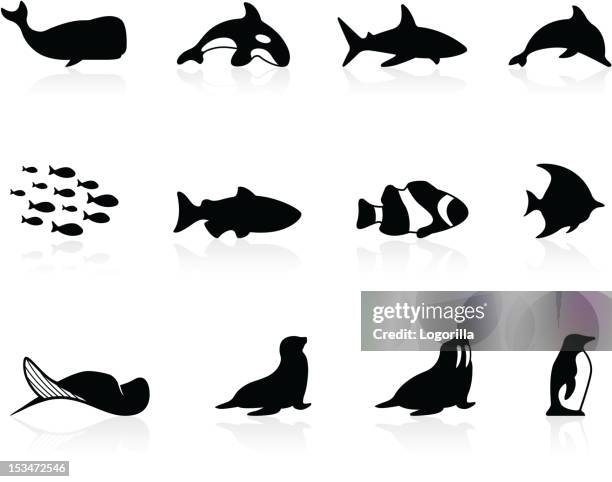 stockillustraties, clipart, cartoons en iconen met sea life - whale