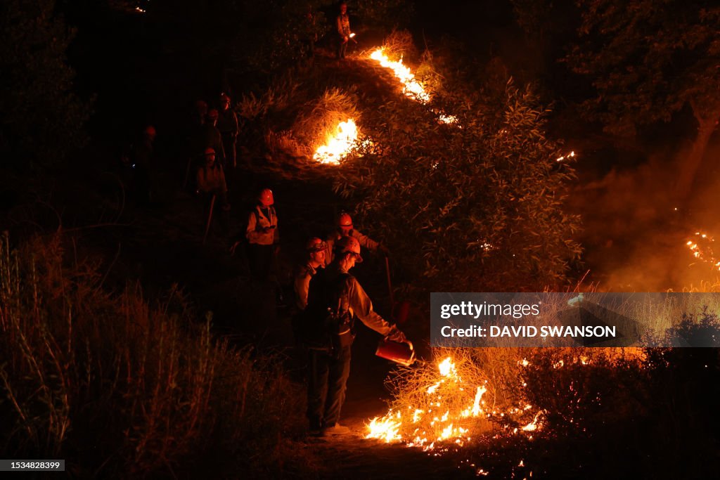 Firefighters monitor and set a controled burn as the Rabbit Fire ...