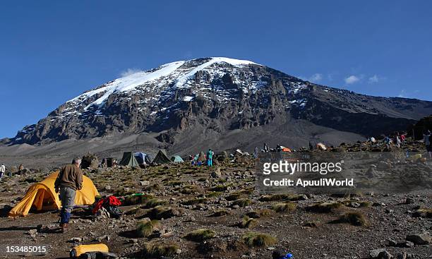 beautiful view of the kilimanjaro with snow on top - mt kilimanjaro stock pictures, royalty-free photos & images