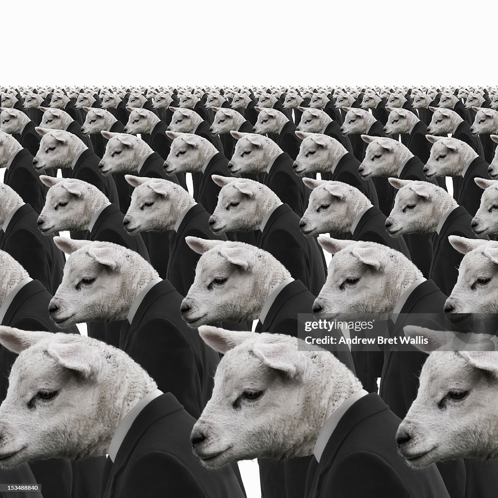 Rows of identical sheep dressed as businessmen