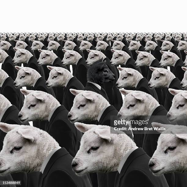 1,959 Black Sheep White Sheep Photos and Premium High Res Pictures - Getty  Images