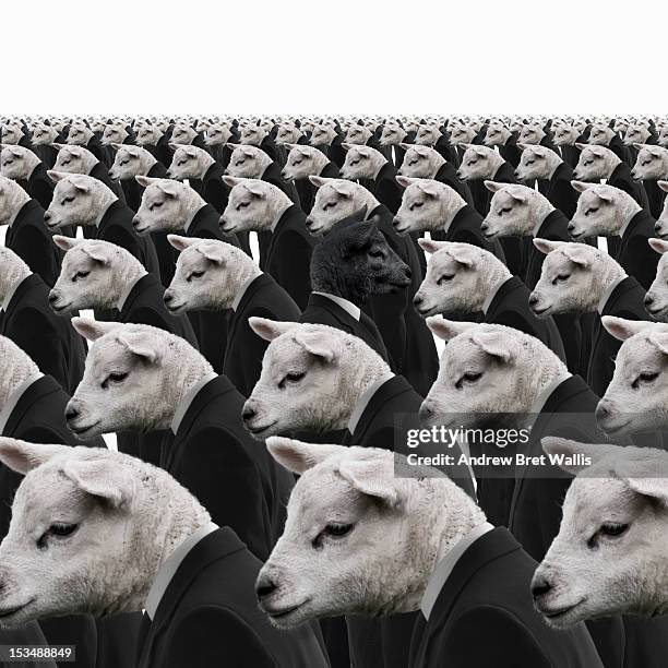 1,959 Black Sheep White Sheep Photos and Premium High Res Pictures - Getty Images 1,959 Black Sheep White Sheep Photos and Premium High Res Pictures - Getty Images