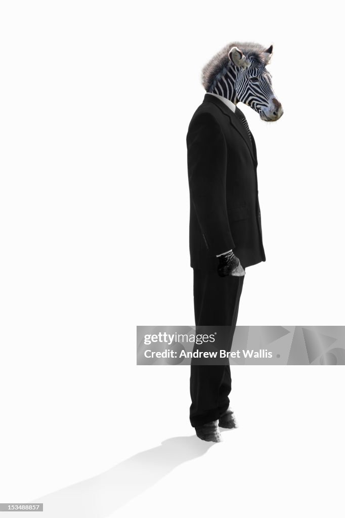 Zebra stands dressed as businessman