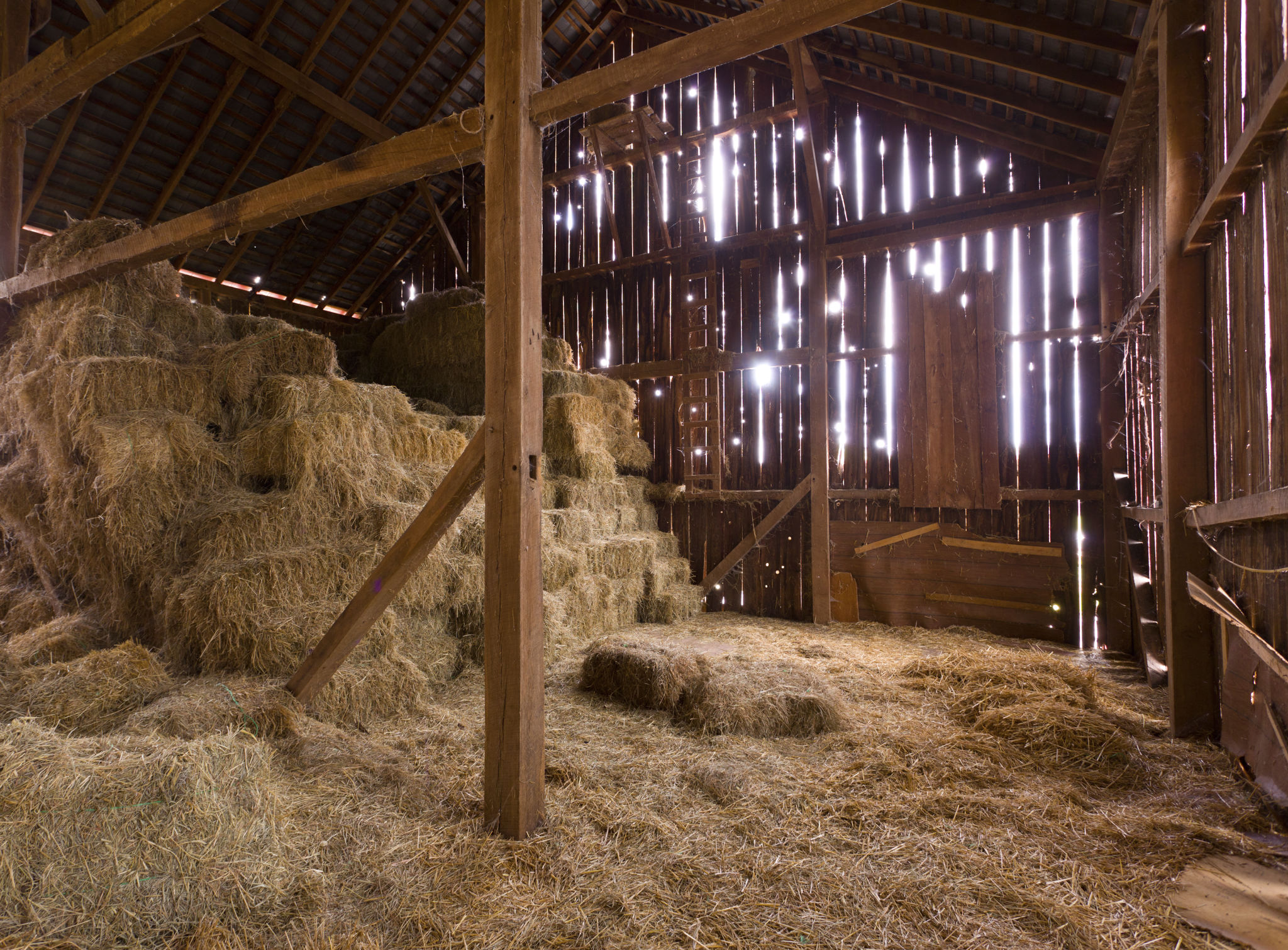 horse stable interior