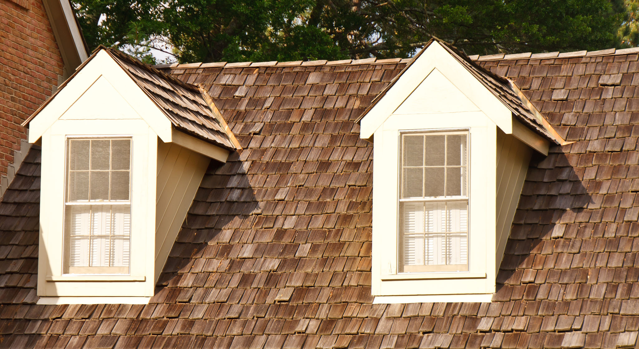 cedar shake roof