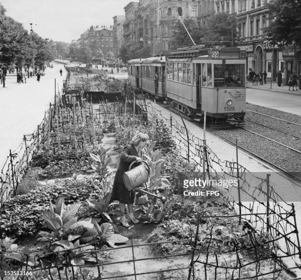 As the Soviets constrict the supply routes into Berlin during the Berlin Blockade, the inhabitants react by growing their own vegetables and tobacco...