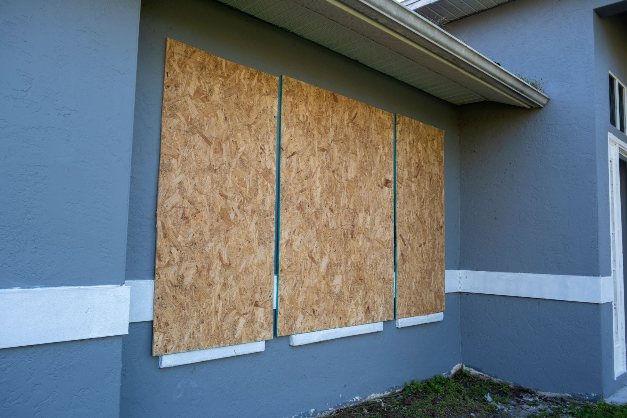 plywood window