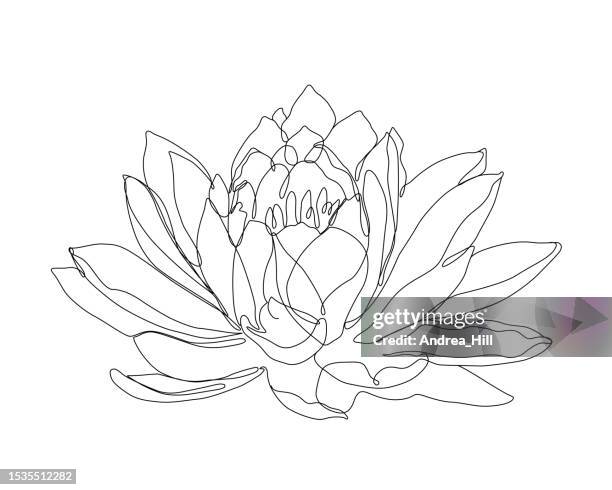 illustrazioni stock, clip art, cartoni animati e icone di tendenza di stile di disegno a linee continue fiore di loto raggruppato con tratto modificabile - fiore di loto