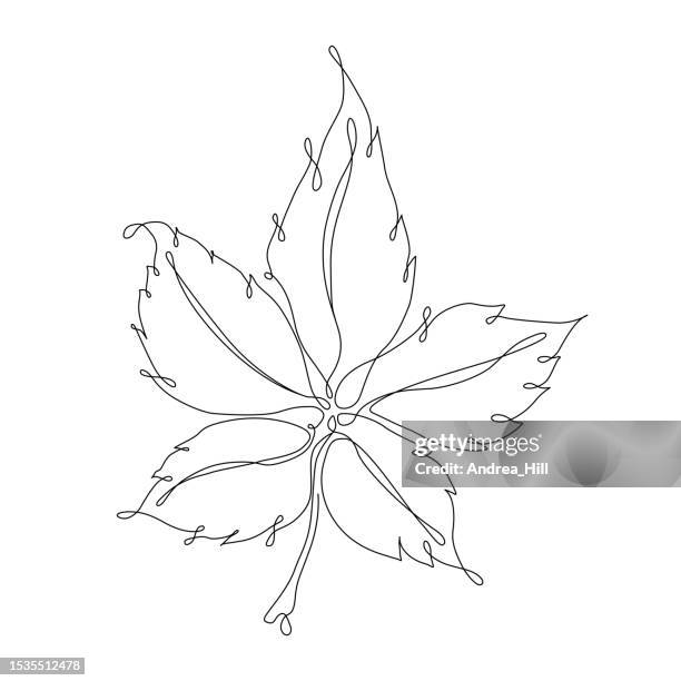1,038 Vine Line Drawing Stock Photos, High-Res Pictures, and Images ...