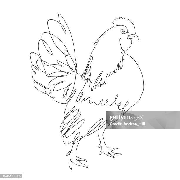 bantam rooster continuous line drawing with editable stroke - of bantam chickens stock illustrations