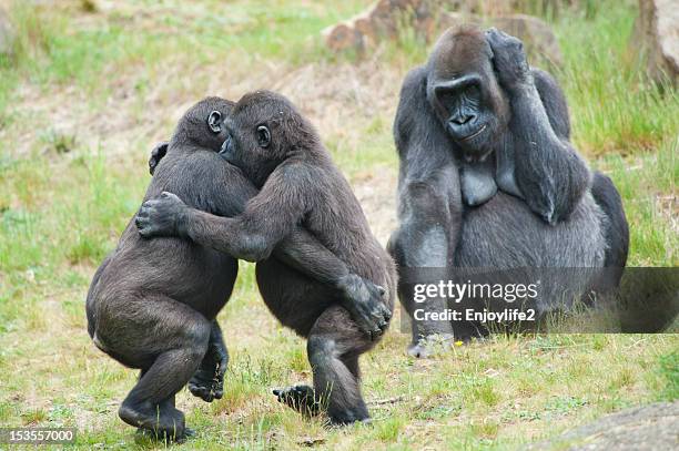 Two young gorillas dancing