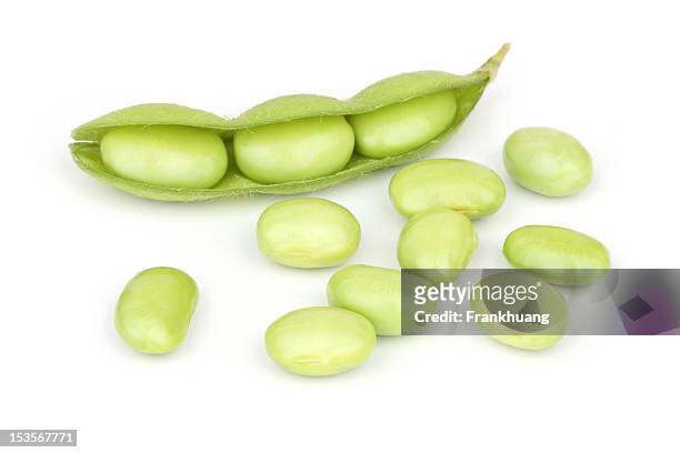 soybeans mit weichen schatten - bean stock-fotos und bilder