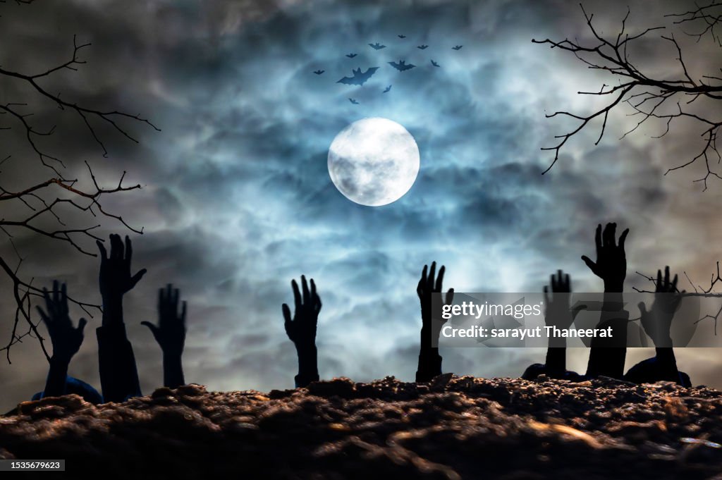 A zombie hand rising from the cemetery in a spooky night. Halloween party card - pumpkins and skeletons in the cemetery at night