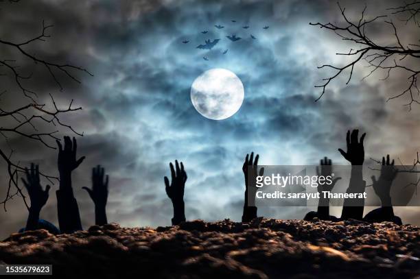 a zombie hand rising from the cemetery in a spooky night. halloween party card - pumpkins and skeletons in the cemetery at night - zombie stockfoto's en -beelden