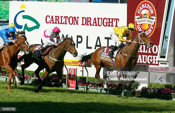 Northerly' riddden by Patrick Payne wins the Cox Plate from 'Defier' ridden by Chris Munce and 'Grandier' ridden by Frankie Dettori on W S Cox Plate...
