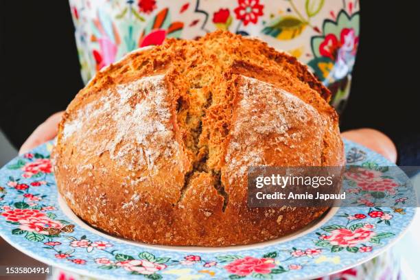 person holding brown soda bread on colourful plate - galway people stock pictures, royalty-free photos & images