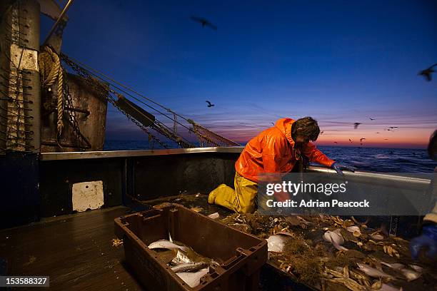 trawler fishing at night - fishing boat net stock pictures, royalty-free photos & images