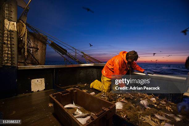 trawler fishing at night - fisherman bildbanksfoton och bilder