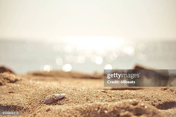 golden sand with the sea on the background - strand stockfoto's en -beelden