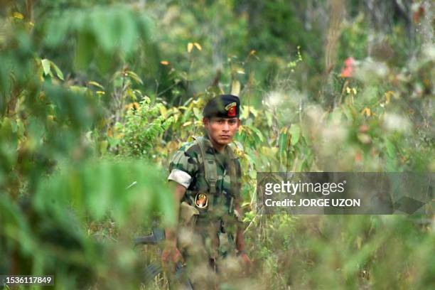 Guatemalan soldier patrols around El Carrizal at the border with police 02 March, 2000. Un soldado guatemalteco monta guardia a la entrada del...