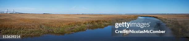 georgia coast panorama with stream - jekyll island stockfoto's en -beelden