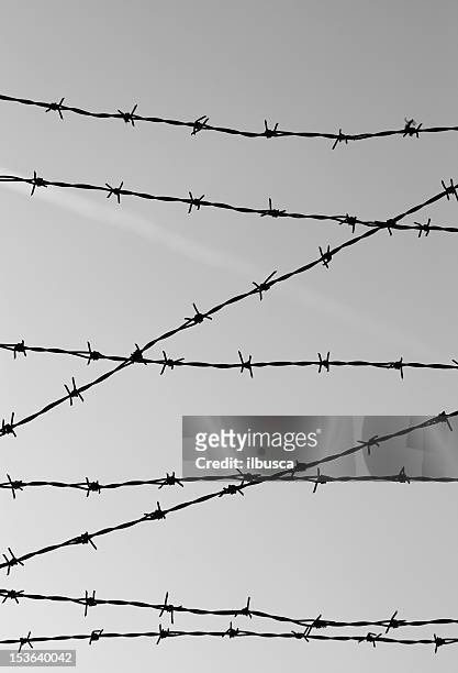 barbed wire silhouette - thorn pattern stock pictures, royalty-free photos & images