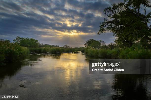 sabie river - riverbank stock-fotos und bilder