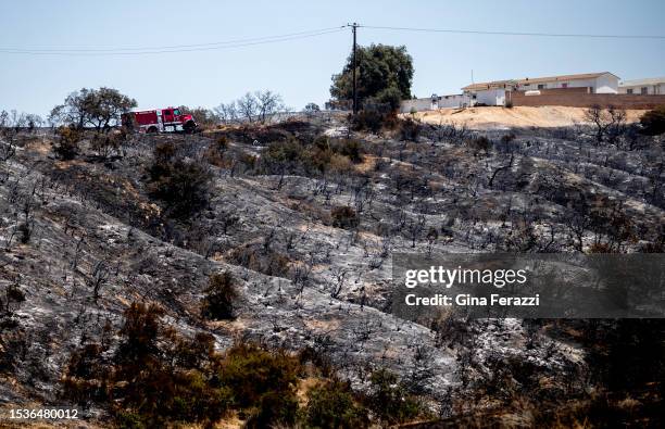 Burned Rabbit 149 Rabbit Fire 2023 Stock Photos, High-Res Pictures, and Images ...