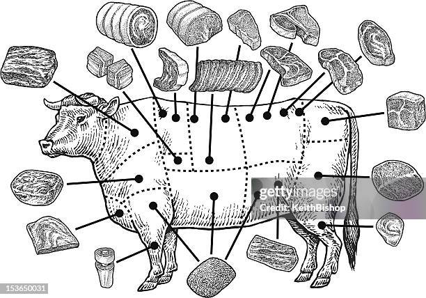 stockillustraties, clipart, cartoons en iconen met meat cuts - raw beef - runderen hoefdier