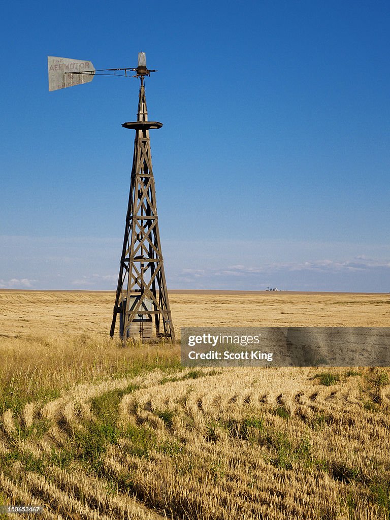 Which way wind blows