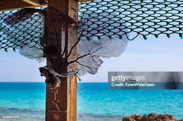 Carribean feeling - a dried fan coral and the carribean sea on June 15, 2012 in Cat Island, The Bahamas.