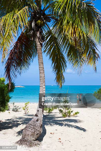 Tourists, people, a couple are walking at the white sandy beach with coconut palm trees of Fernandez Bay on June 15, 2012 in Fernandez Bay, Cat...