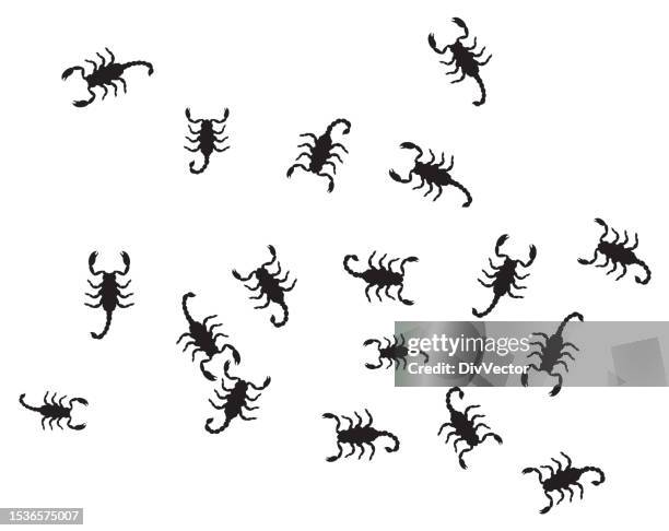 scorpion vector set - scorpion stock illustrations