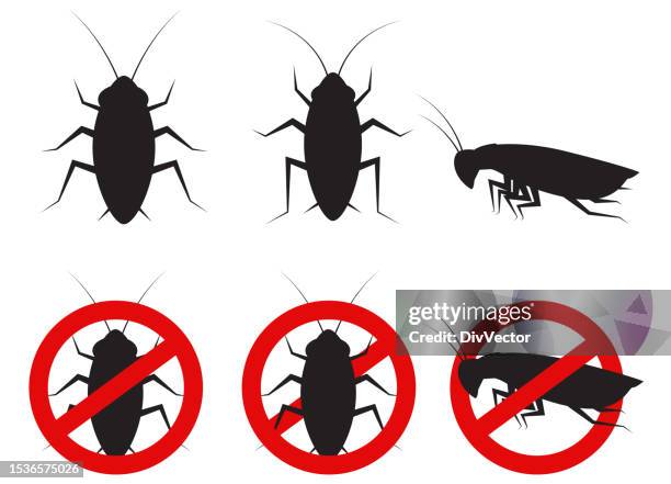 stockillustraties, clipart, cartoons en iconen met cockroach silhouette set - insect