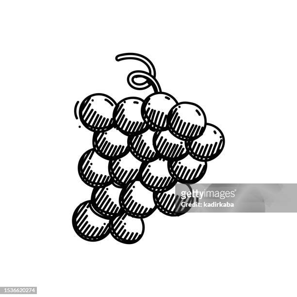 grape line icon, sketch design, pixel perfect, editable stroke. logo, sign, symbol. - merlot stock illustrations