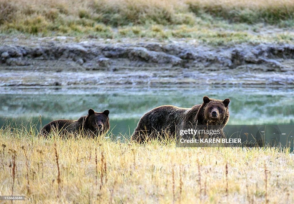 US-PARKS-YELLOSTONE NATIONAL PARK