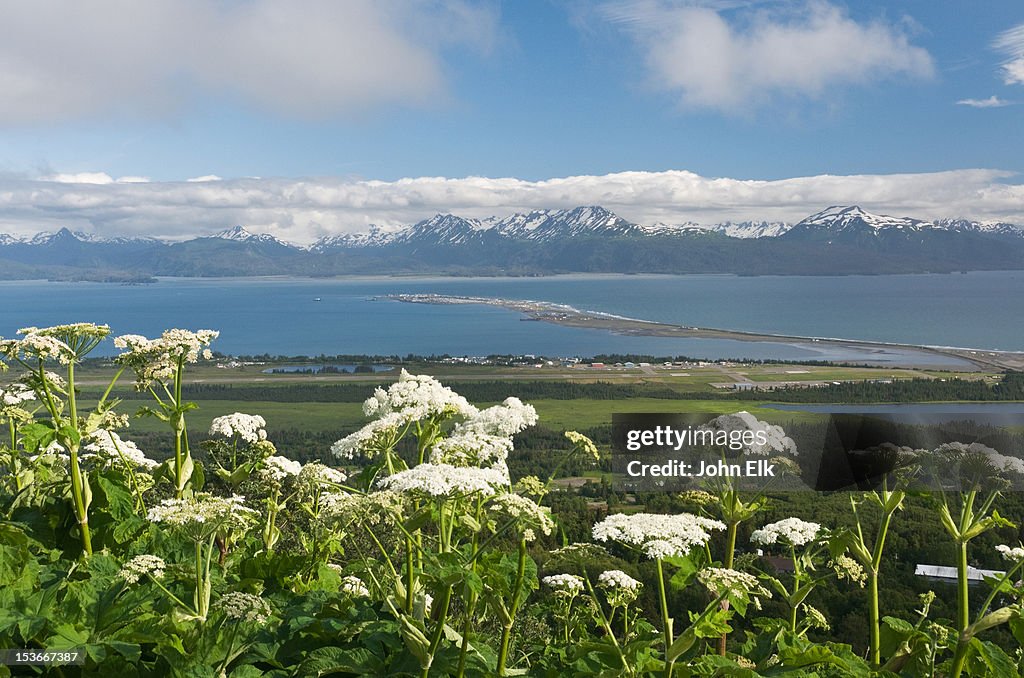 View of Homer, Alaska