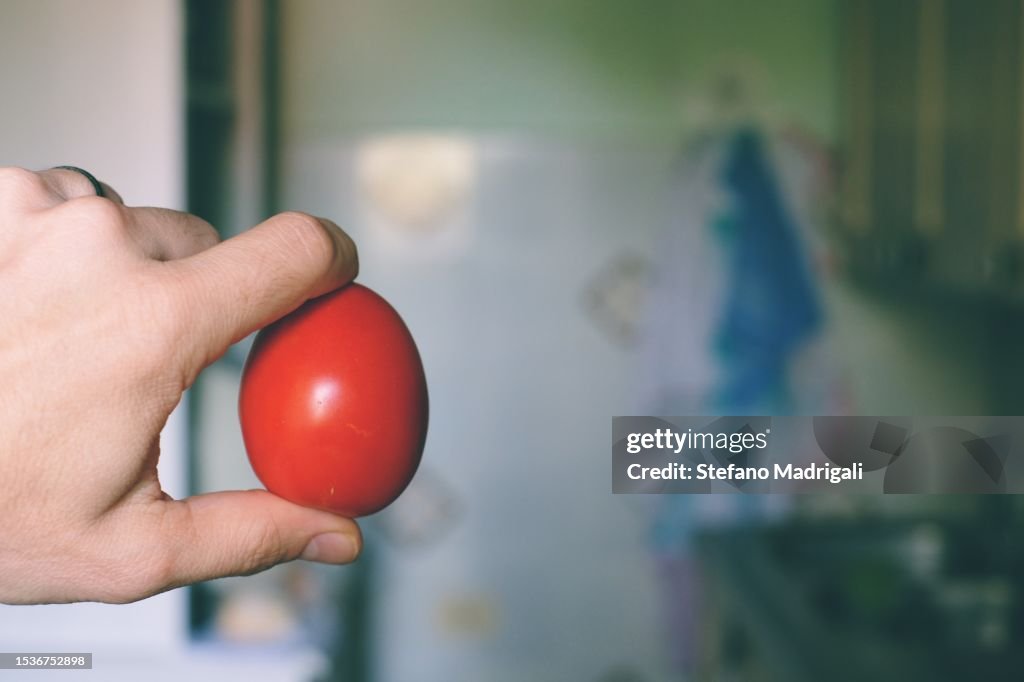 Tomato in hand