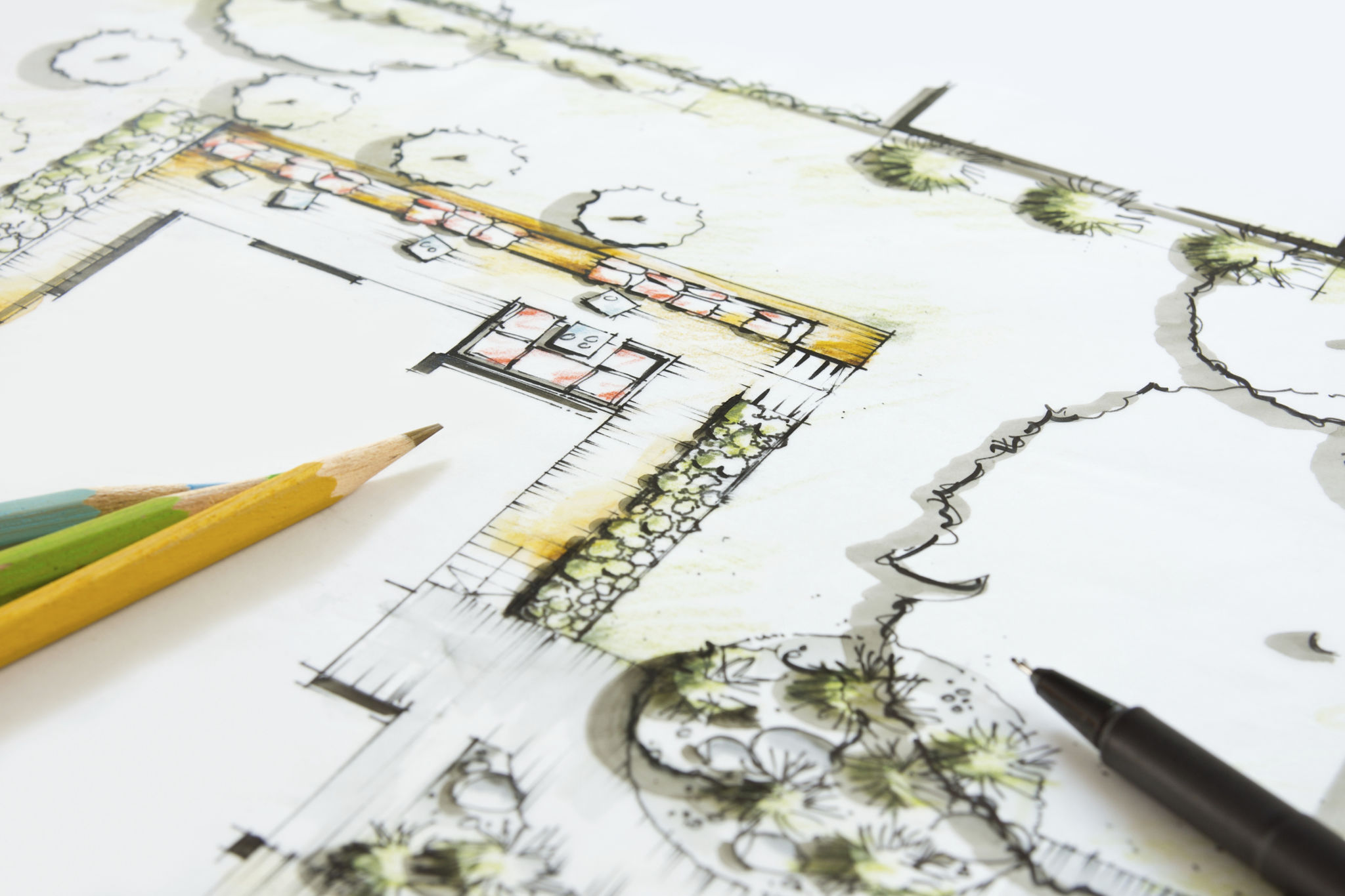 garden sketch