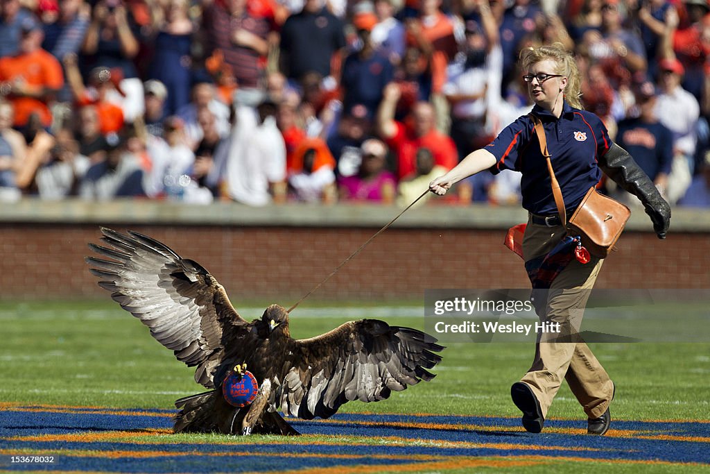 Arkansas v Auburn