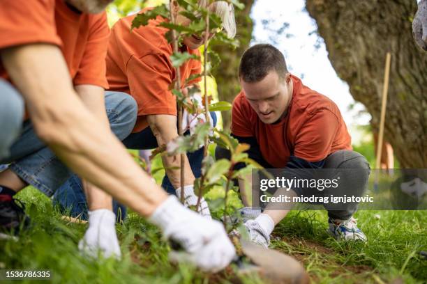 2go Tree Planting 4,349 Tree Planting Group Stock Photos, High-Res Pictures, and Images ...